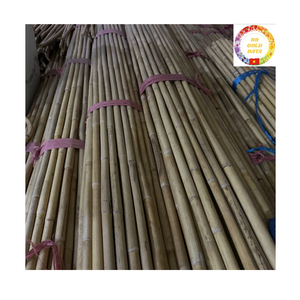 เสาหวายดิบ | อ้อยธรรมชาติจำนวนมากส่งออกคุณภาพสำหรับเฟอร์นิเจอร์และงานฝีมือ - Product Image 4