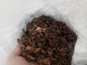 ผงเยลลี่หญ้าดำคุณภาพส่งออกจำนวนมาก เยลลี่หญ้าดำ เยลลี่หญ้าดำเวียดนาม ส่วนผสมสำหรับทำเครื่องดื่มและของหวาน - Product Image 2