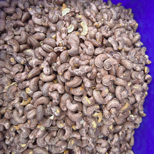 Wholesale High Quality Raw Vietnam Cashew Nuts Dried Packaging Bags W180 W210 W320 Exported to Asia Middle East - Product Image 1