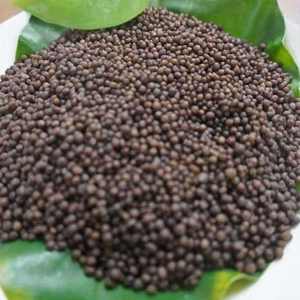 Engrais DAP agricole de qualité supérieure pour l'exportation en vrac, granulés riches en phosphore dans des sacs PP robustes pour les acheteurs importateurs - Product Image 1