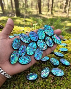 เปลือกหอยเป๋าฮื้อธรรมชาติแบบผสม รูปทรงคาโบชอง ขัดเงา หินเปลือกหอยหลากหลายรูปทรง สำหรับทำเครื่องประดับ ขายส่ง - Product Image 2