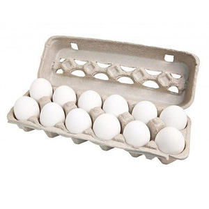 Œufs de poule blancs biologiques frais, prix compétitif, vente en gros, œufs de poule de table frais de la ferme - Product Image 5
