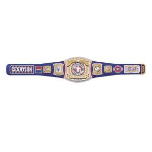 Ceinture de championnat réplique bleue John Cena Farewell Tour SummerSlam 2025 - Product Image 2