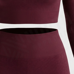 Ensemble de yoga deux pièces sexy avec soutien-gorge intégré, tenue de fitness pour femmes, haut de sport, vêtements d'exercice, survêtements athlétiques personnalisables avec logo - Product Image 5