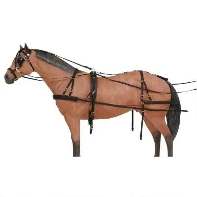 Harnais pour chevaux Endurance Bridle Halter Harnais Ensemble complet Pvc Expédié d'Inde Fabricant