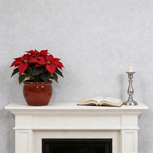 Pots de plantes en céramique rouge rouille faits à la main, argile respirante, trou de drainage, écologiques, pour la maison et le jardin - Product Image 3