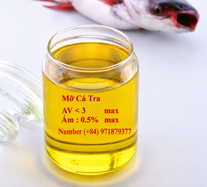 Bagre Entero Congelado con Aceite de Pescado Amarillo en Tabla de Madera, Procesado IQF, Empaque a Granel en Forma de Bloque, Conservación en Agua - Product Image 2