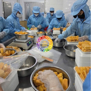 ขนุนเหลืองธรรมชาติ ขายส่ง คุณภาพสูง ราคาแข่งขัน ขนุนหั่นแช่แข็ง IQF จากเวียดนาม - Product Image 3