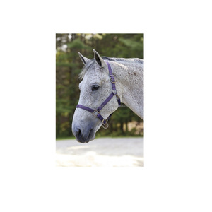 Brida de Nylon y Cuero Personalizable de Alta Calidad, Cómoda y Flexible, para Equitación y Carreras de Caballos, Rub International - Product Image 6