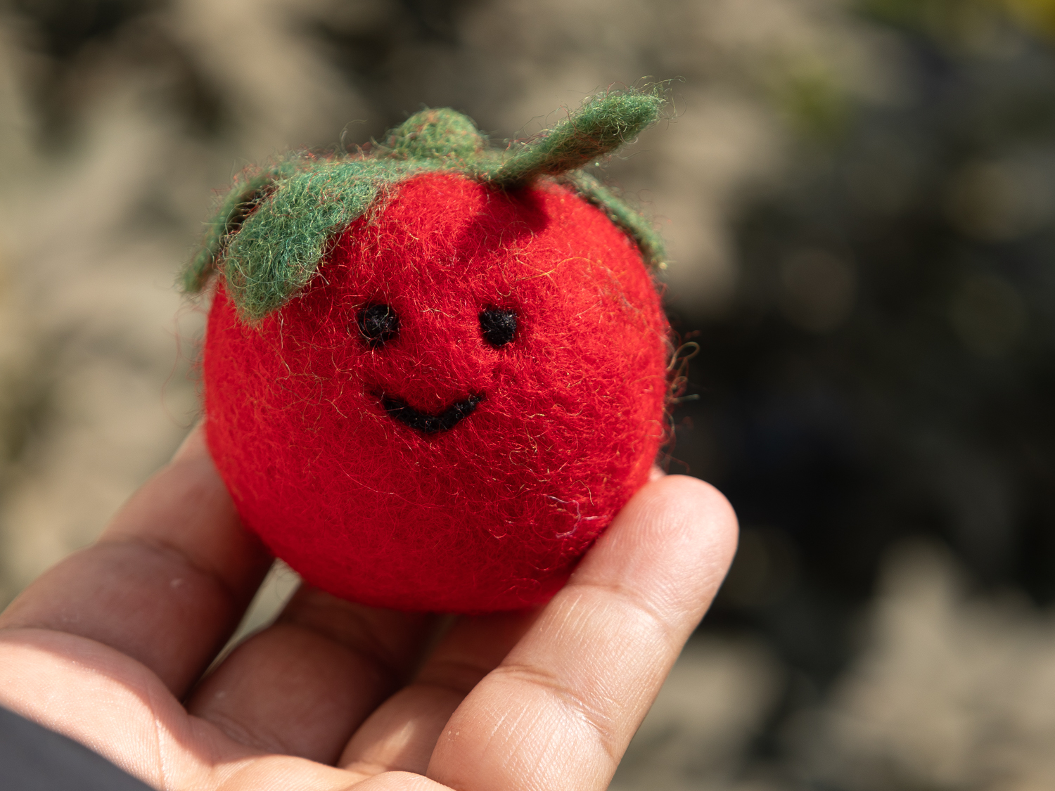 Tomato with Smile