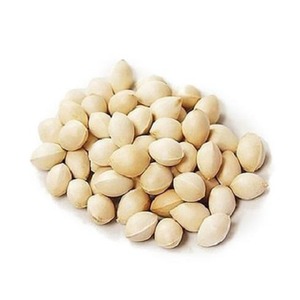ราคาขายส่งถั่วแปะก๊วยดิบ มีจำหน่ายจำนวนมาก - Product Image 4