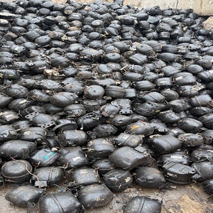 100% <b>Used</b> <b>Electronic</b> Fridge & AC Compressor Scraps Accessories HMS Grade Wholesale Fast Delivery Premium Quality Low Price - Product Image 2