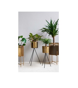 Support de plante décoratif en métal doré, conçu pour une présentation élégante de jardinage intérieur - Product Image 1