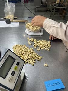 Anacardos de origen vietnamita al por mayor, grado fino horneado, certificado ISO, aperitivos saludables, 1000kg, MOQ, buen embalaje, muestra disponible - Product Image 5