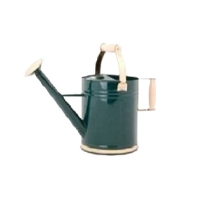 Arrosoir en métal au look vintage élégant, avec revêtement vert, pour fleurs, pour l'extérieur et les fournitures de jardin - Product Image 1