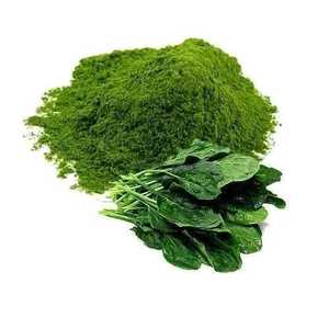 Ojistha Industries Polvo de Palak 100% Puro 100 g - 36 Meses de Vida Útil Sin Conservantes/Aditivos Bebida Hecha en Jharkhand - Product Image 2