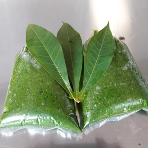 Fournisseur de feuilles de manioc congelées de haute qualité en provenance du Vietnam, prix de gros en vrac - Product Image 2