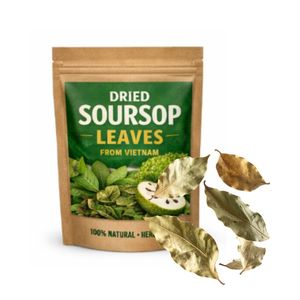 High Quality Dried Soursop (Graviola) Leaves from Vietnam Premium Flavor <b>Tea</b> Ingredient Hot Summer Soursop leaves Loose <b>tea</b> - Product Image 1