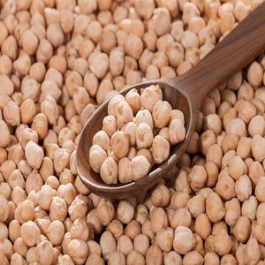 Garbanzos (Kabuli Chana Chole) - Ricos en Nutrientes, 24 Meses de Duración, Almacenamiento a Temperatura Ambiente - Product Image 4