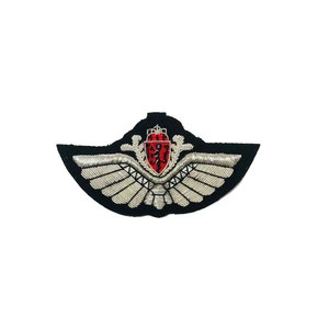 Écusson en tissu personnalisé brodé Ailes de Pilote pour vêtements, sacs et chaussures - Product Image 1