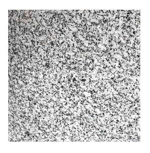 Polished Elegant P White <b>Granite</b> Polished Modern Design Style Long life Natural Tile For Indoor and Outdoor - Product Image 1