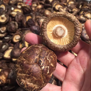 เห็ดหอมอบแห้งจากเวียดนาม - Product Image 3