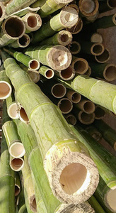Pôles en bambou naturel pour la construction et le soutien des plantes de jardin, bâtons en bambou écologiques - Product Image 6