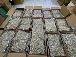 Anchoas secas más vendidas para sopas, caldos, ingredientes de mariscos utilizados para sazonar y como base para sopas, restaurante Vietnam - Product Image 3