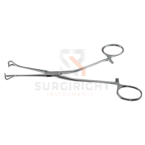 Pinzas para Tejidos Allis Babcock Anguladas, Instrumento Quirúrgico de Acero Inoxidable Alemán, CE ISO 13485 por Blush Surgical - Product Image 2