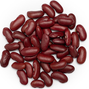 Venta al por mayor de frijoles rojos oscuros secos de forma alargada, frijoles rojos británicos para exportación. - Product Image 1