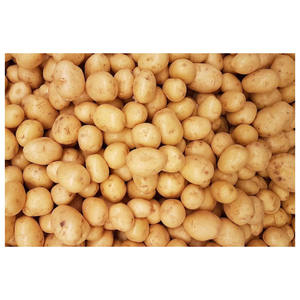 Pommes de terre fraîches en gros pour fermes agricoles, pommes de terre jaunes à la peau jaune, au prix le plus bas - Product Image 5