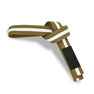 Ceinture de Taekwondo, Karaté, Judo, Jiu-Jitsu Brésilien (BJJ) avec logo personnalisé brodé, vente en gros directe d'usine du Pakistan - Product Image 3