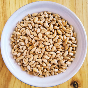 Granos de Trigo de Primera Calidad para Exportación al por Mayor, Grado Alimenticio Premium, Disponibilidad Inmediata para Compradores Globales - Product Image 1
