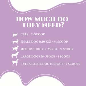 Suplemento de Apoyo Hepático con Cardo Mariano para Perros, Ayuda al Procesamiento del Hígado, Desintoxicación y Salud Renal, Fórmula Herbal Natural - Product Image 3