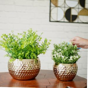 Jarrón chapado en oro con diseño circular para flores o plantas verdes de interior, macetero moderno minimalista para escritorio - Product Image 5