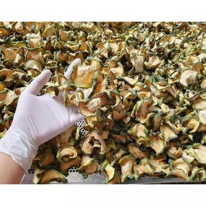 Melon d'hiver séché biologique |   Melon d'hiver séché pour aliments et boissons fonctionnels |   Ingrédient naturel // Evan - Product Image 2