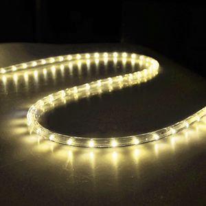 ไฟ LED แบบเชือกสีขาวอบอุ่น ยาว 50 ฟุต - Product Image 5