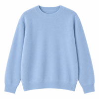 Pull en laine mérinos à col rond, couleur unie, manches longues, doux et moelleux, style coréen, chic et décontracté pour femmes