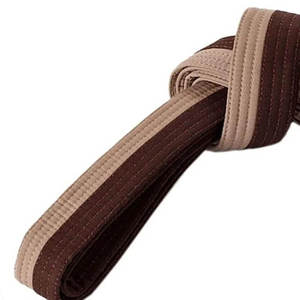 Cinturón de Taekwondo de Algodón con Logotipo Personalizado al por Mayor para Adultos Unisex, Equipo de Artes Marciales de Alta Calidad para Karate y Kendo, Impreso - Product Image 2