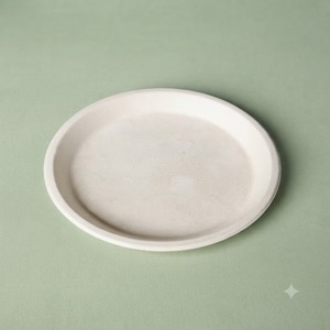 Assiette ronde en bagasse blanche de 9 pouces, assiette jetable en pulpe de canne à sucre, biodégradable et compostable, assiette de service alimentaire écologique - Product Image 2