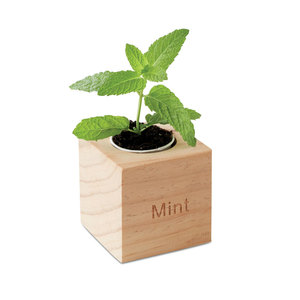 Kit educativo promozionale con semi di menta in una pentola - Product Image 3