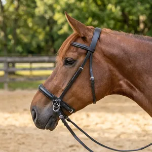 Bridon de cheval en cuir véritable traditionnel de qualité supérieure, équipement d'équitation de haute qualité, prix de gros, fournisseur. - Product Image 1