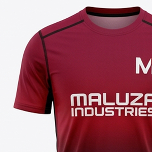 Conjunto de Uniforme de Fútbol Personalizado con Impresión por Transferencia de Calor, Alta Calidad, Absorbe la Humedad, Protección UV, Tallas Grandes, Camiseta y Pantalones Cortos de Fútbol - Product Image 2