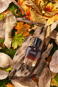 Parfum de luxe pour homme fabriqué au Vietnam 50ml |   Parfum boisé longue durée |   Fabricant professionnel de parfums OEM/ODM - Product Image 4