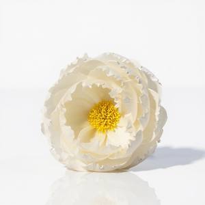 Pivoines blanches avec des étamines jaunes à l'intérieur. Fleurs en bois de Sola 11 CM, tige en fibre de plantes de Sesbania, aromathérapie artisanale - Product Image 1