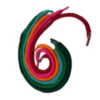 Cordon tressé en polyester écologique avec embouts en plastique couleur personnalisée – Idéal pour vêtements, chaussures, textiles de maison, poignées de sacs en papier