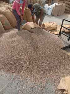 Aceite de Ricino de Grado Industrial 99% de Pureza CAS G2654 Nohf NOHF - Product Image 2