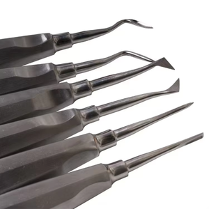 Juego de 13 Elevadores Dentales de Acero Inoxidable, Instrumentos de Cirugía Oral, Kit de Extracción de Dientes, Profesional - Product Image 5