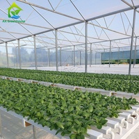 Système hydroponique NFT horizontal commercial en PVC avec canaux de culture à haut rendement pour laitues, herbes aromatiques, légumes-feuilles, garantie 1 an