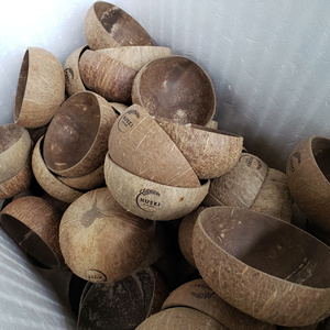 Best Selling High Quality Disposable <b>Coconut</b> <b>Shell</b> Bowl Spoon Set Customized Pattern Eco-Friendly Washable 2026 - Product Image 3
